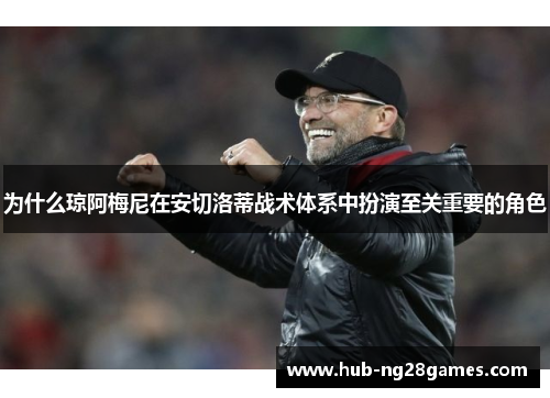 为什么琼阿梅尼在安切洛蒂战术体系中扮演至关重要的角色