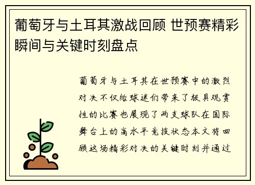 葡萄牙与土耳其激战回顾 世预赛精彩瞬间与关键时刻盘点