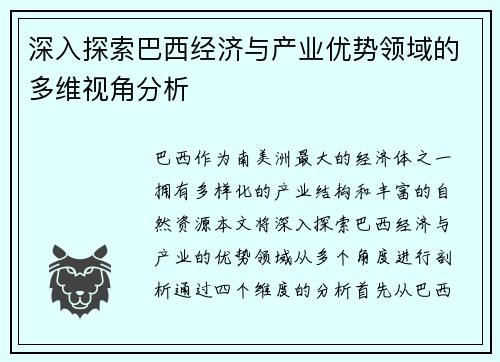 深入探索巴西经济与产业优势领域的多维视角分析