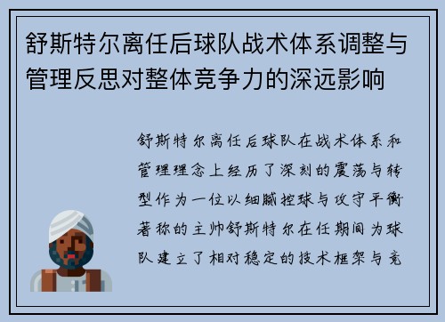 舒斯特尔离任后球队战术体系调整与管理反思对整体竞争力的深远影响
