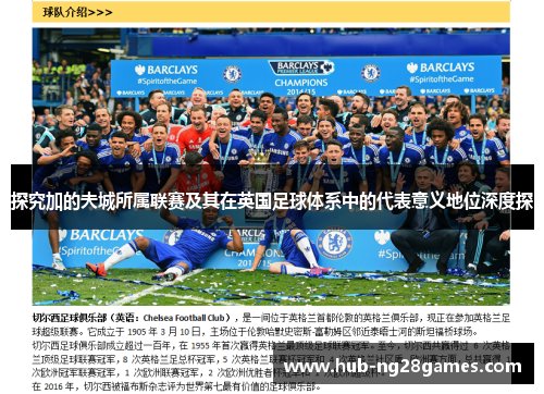 探究加的夫城所属联赛及其在英国足球体系中的代表意义地位深度探